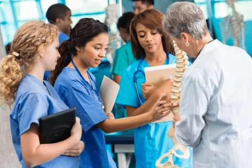 Medical students examining a model of a spine with an instructor